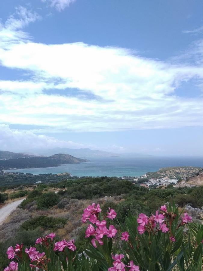 Marina Villas Ίστρο Εξωτερικό φωτογραφία